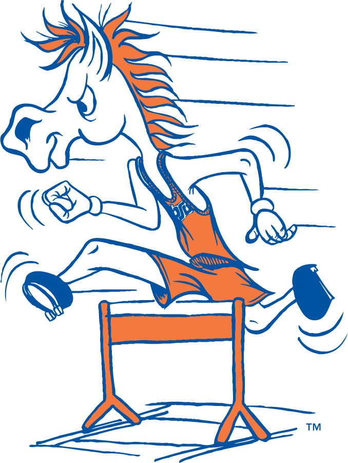 Boise State Broncos 1968-1983 Mascot Logo v2 DIY iron on transfer (heat transfer)